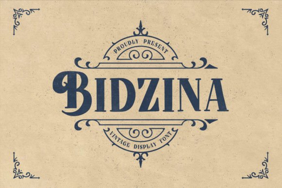 Bidzina Font for Bold Branding and Visual Impact