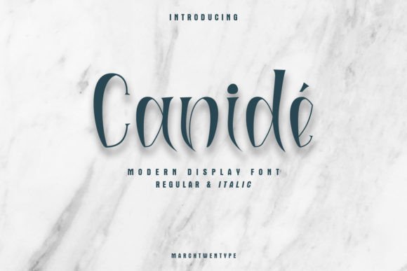 Canidé: A Modern Font That Elevates Brand Identity
